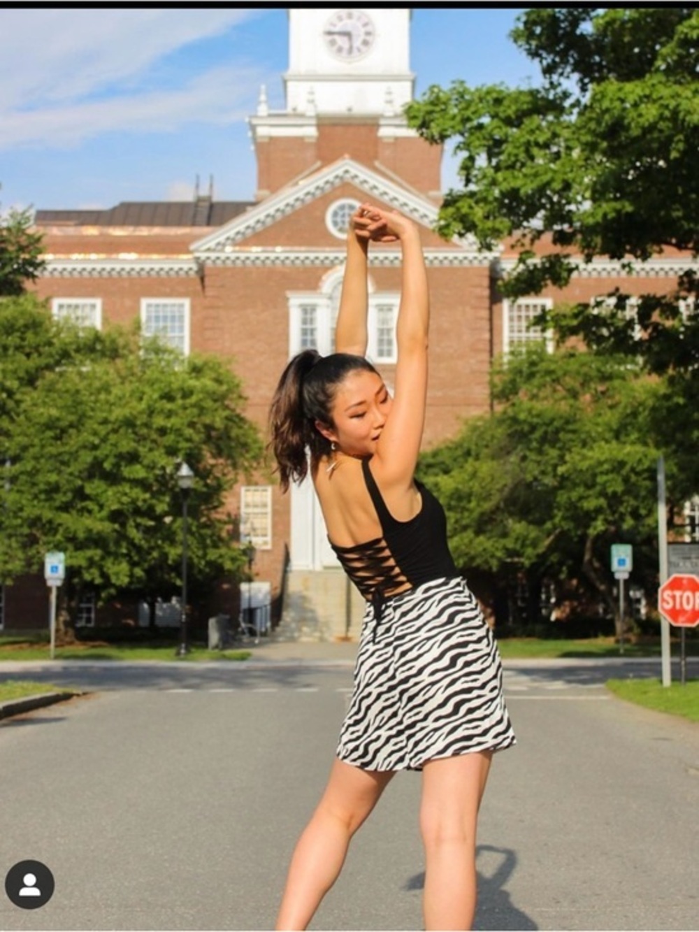 Black Zebra Print Skirt